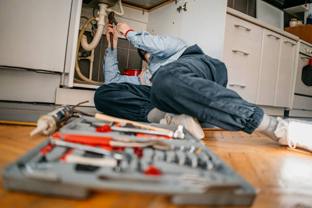 Best Commercial Plumbing Services  in Zellwood, FL