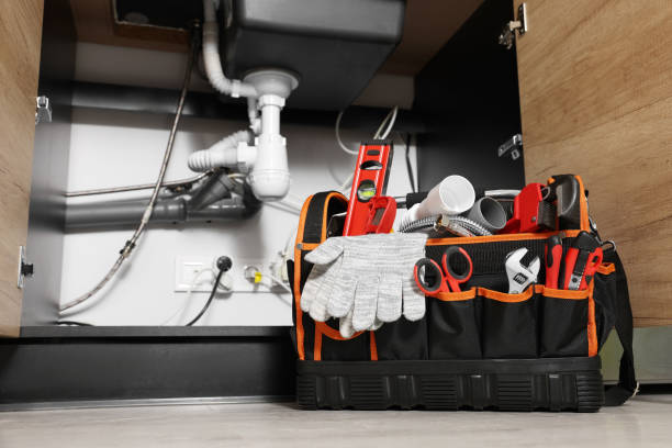 Best Residential Plumbing Services  in Zellwood, FL