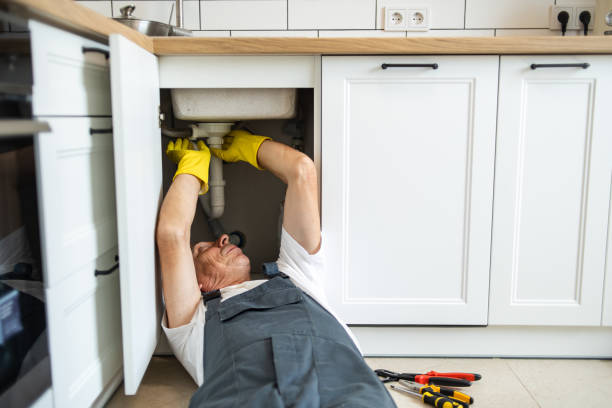  Zellwood, FL Plumbing Pros